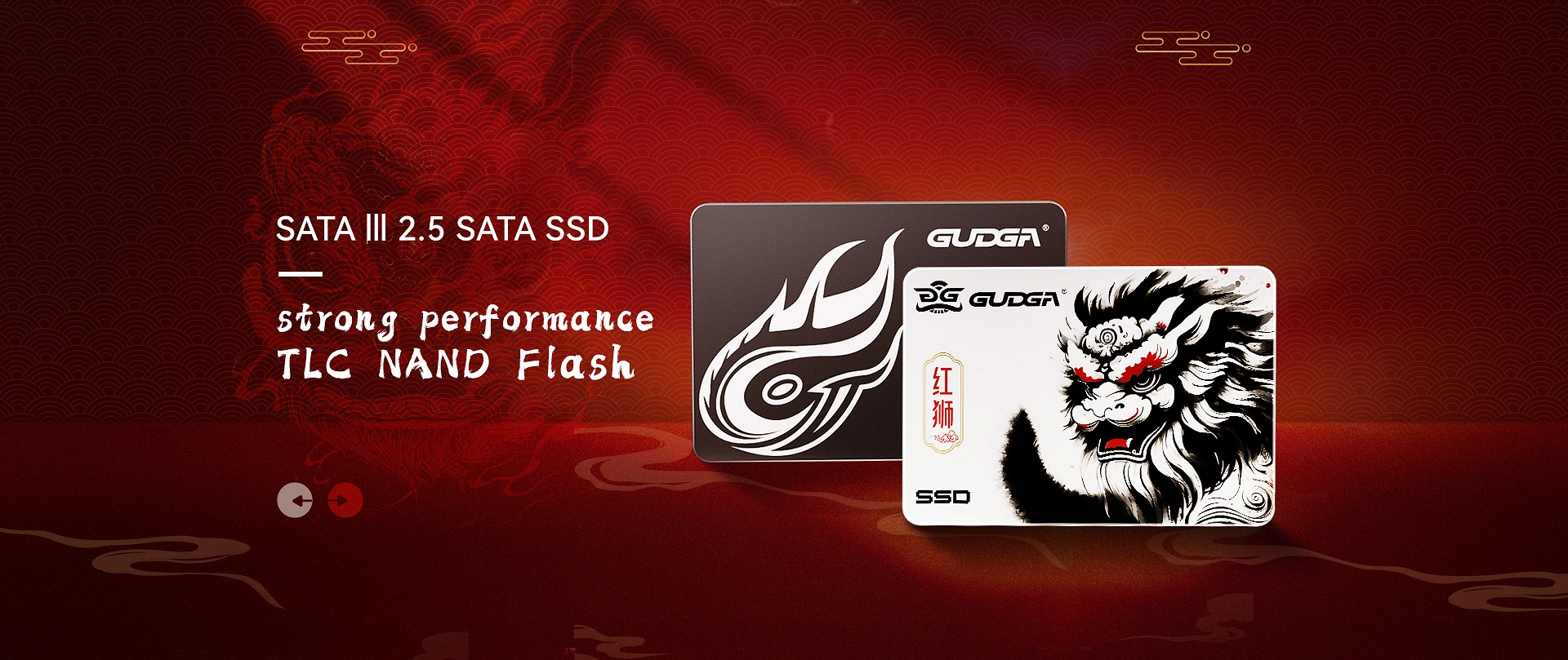 Marka ng 2.5 SATA SSD Wholesale Manufacturer