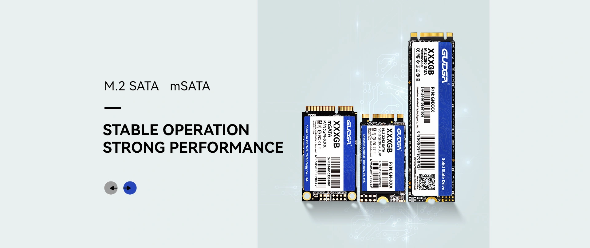 China Discount M.2 SATA SSD Manufacturer