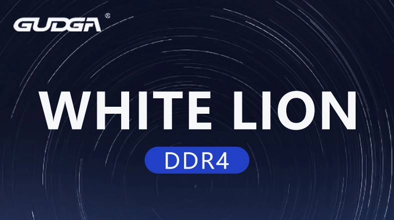 Fast Speed Computer Desktop DDR4 Memory for Gaming
